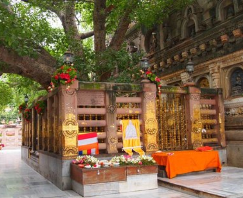 NewDhana Tour | Myanmar 